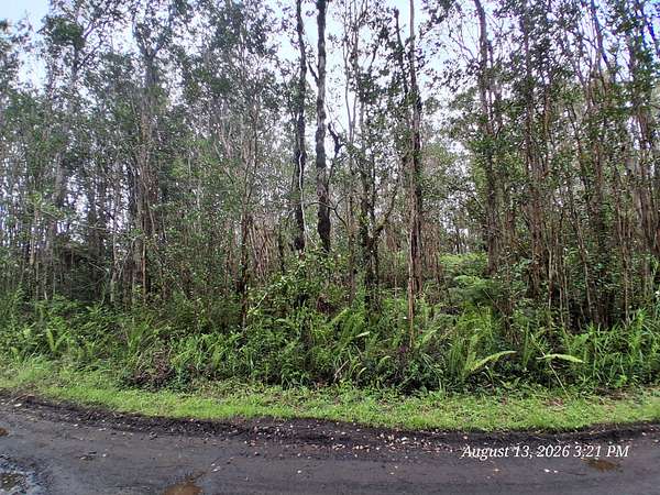 1 Acre of Residential Land for Sale in Mountain View, Hawaii