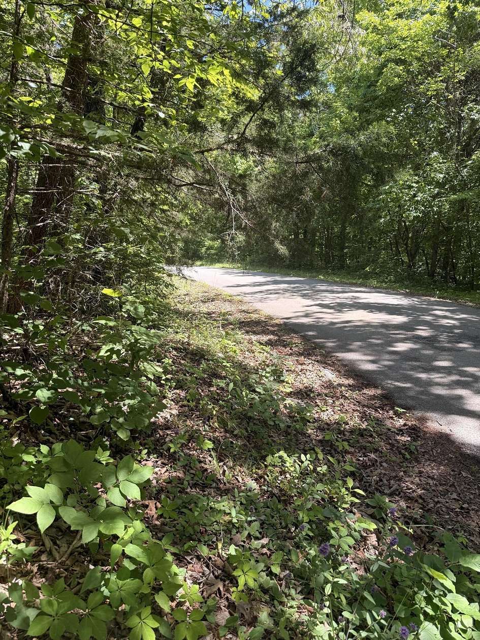 5 Acres of Land for Sale in Nancy, Kentucky