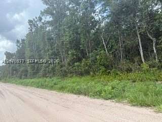 10 Acres of Recreational & Residential Land for Sale in Middleburg, Florida