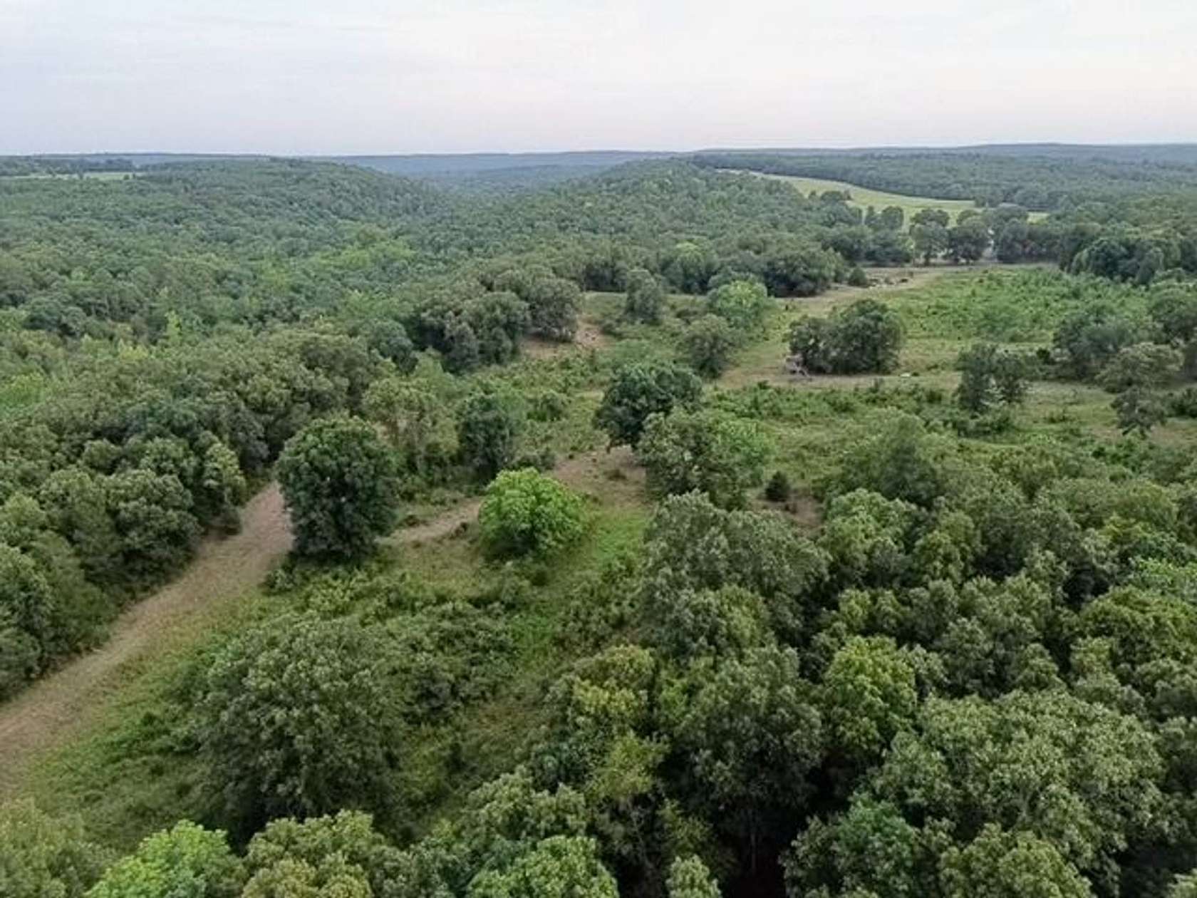 40 Acres of Land for Sale in Romance, Arkansas