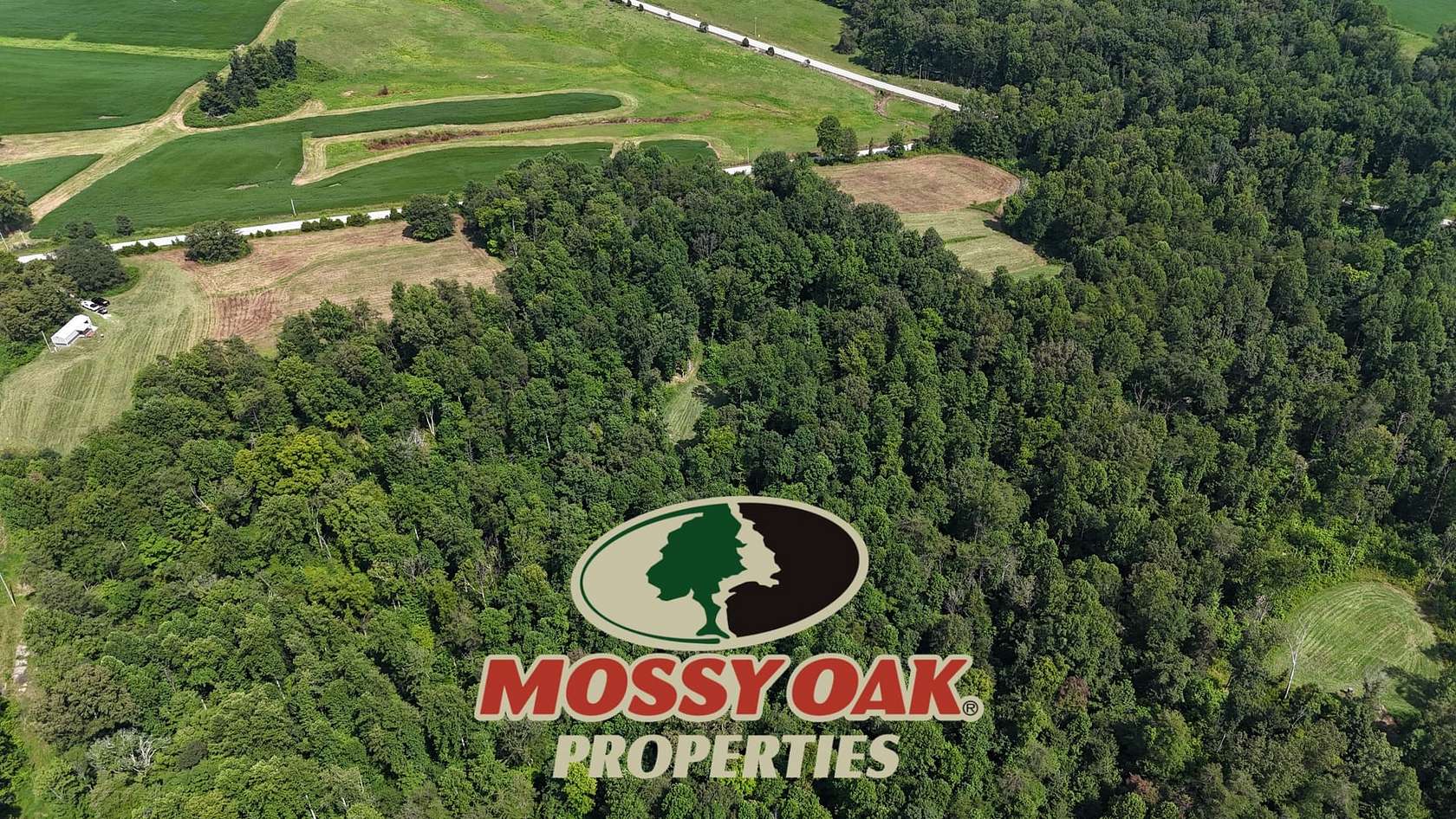39 Acres of Land for Sale in Eubank, Kentucky