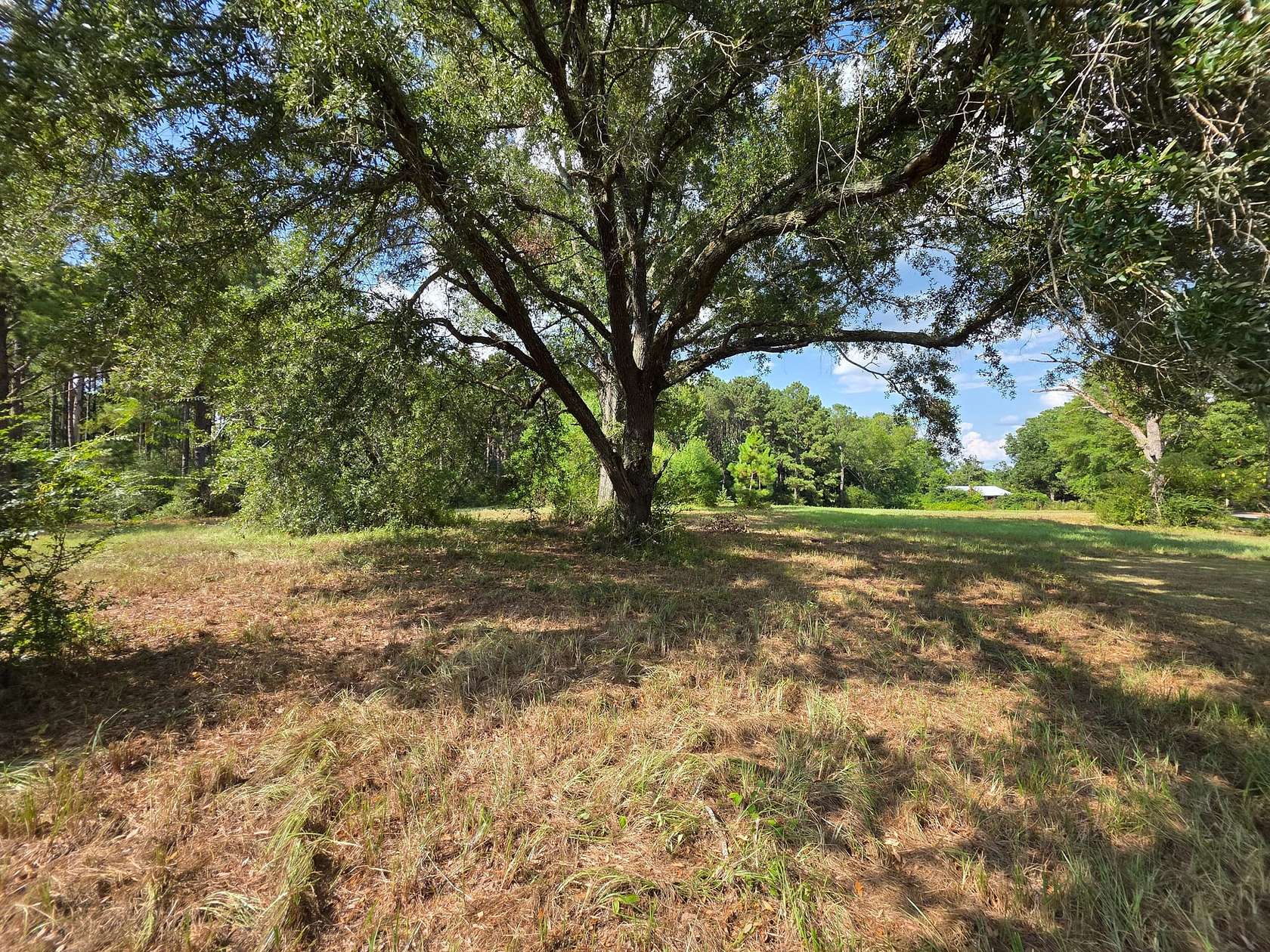 13 Acres of Recreational Land for Sale in Prentiss, Mississippi