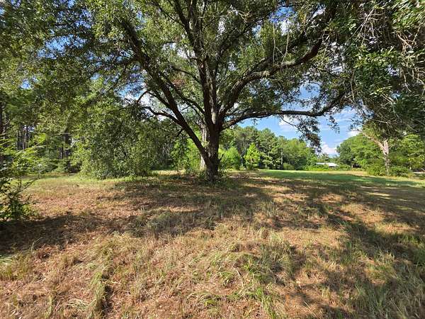 13 Acres of Recreational Land for Sale in Prentiss, Mississippi