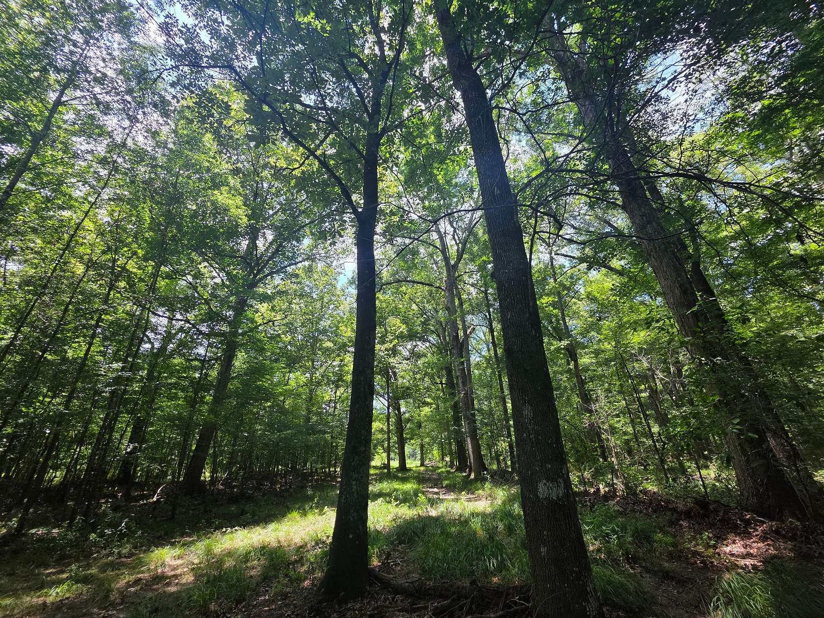 8 Acres of Recreational Land for Sale in Morton, Mississippi