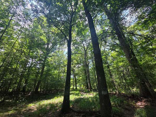 8 Acres of Recreational Land for Sale in Morton, Mississippi