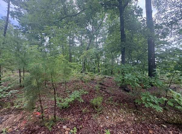 80 Acres of Land for Sale in Redford, Missouri