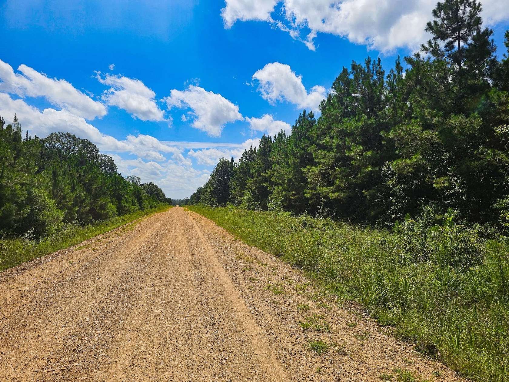 27 Acres of Recreational Land for Sale in Ozan, Arkansas