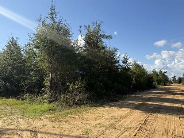 40 Acres of Land for Sale in Clarksville, Florida