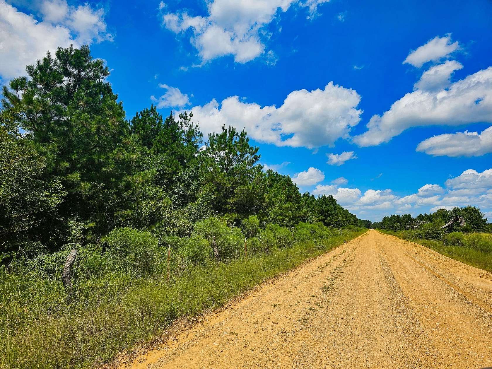 27 Acres of Recreational Land for Sale in Ozan, Arkansas