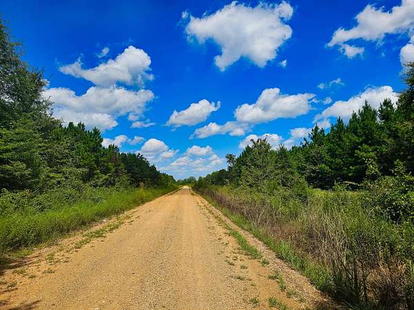 110 Acres of Recreational Land for Sale in Ozan, Arkansas