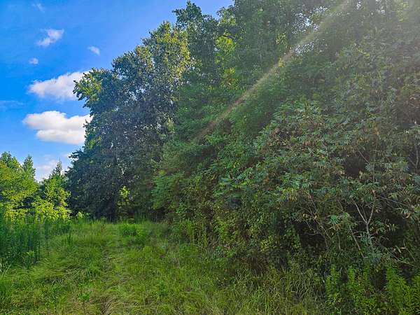 122 Acres of Recreational Land for Sale in Lockesburg, Arkansas