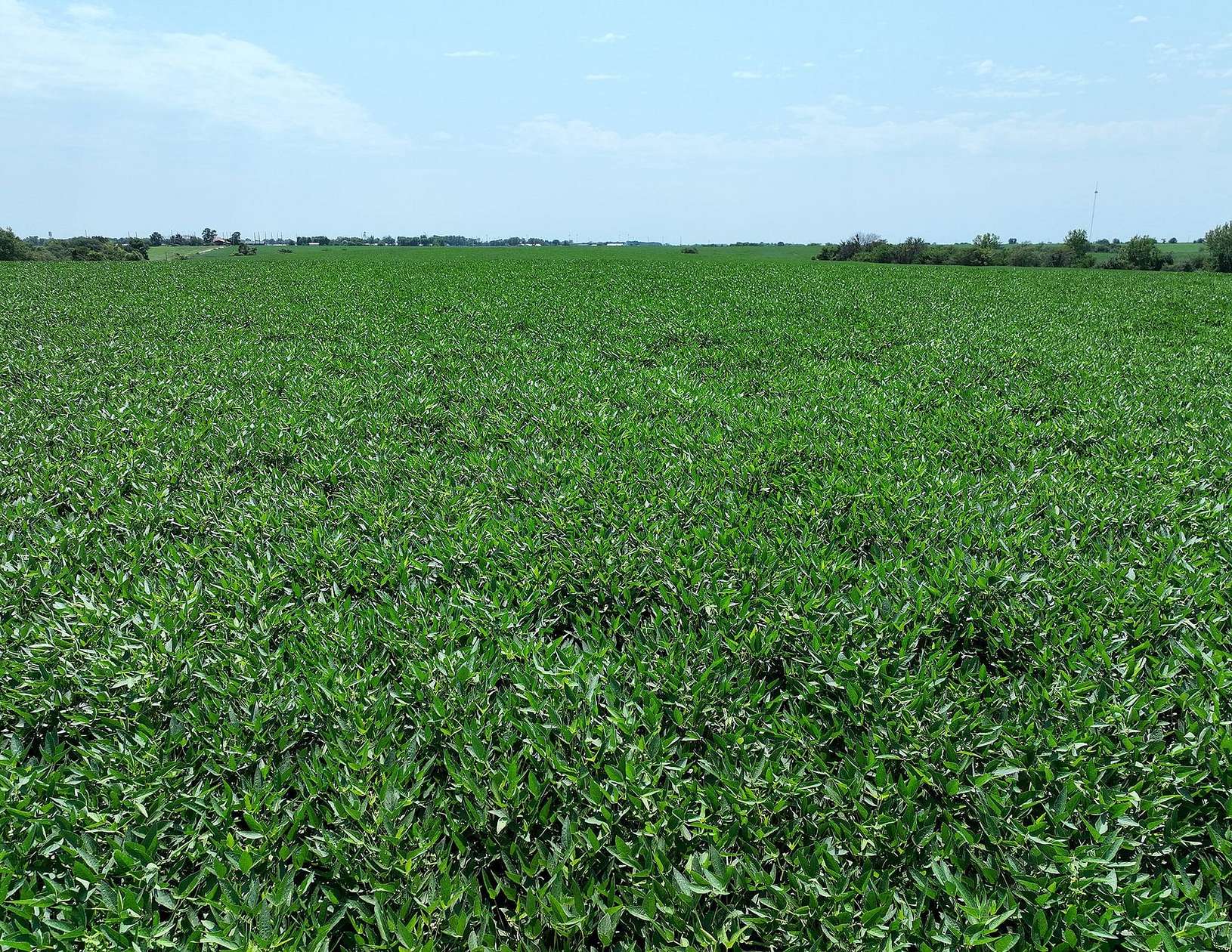 156 Acres of Land for Sale in Corydon, Iowa