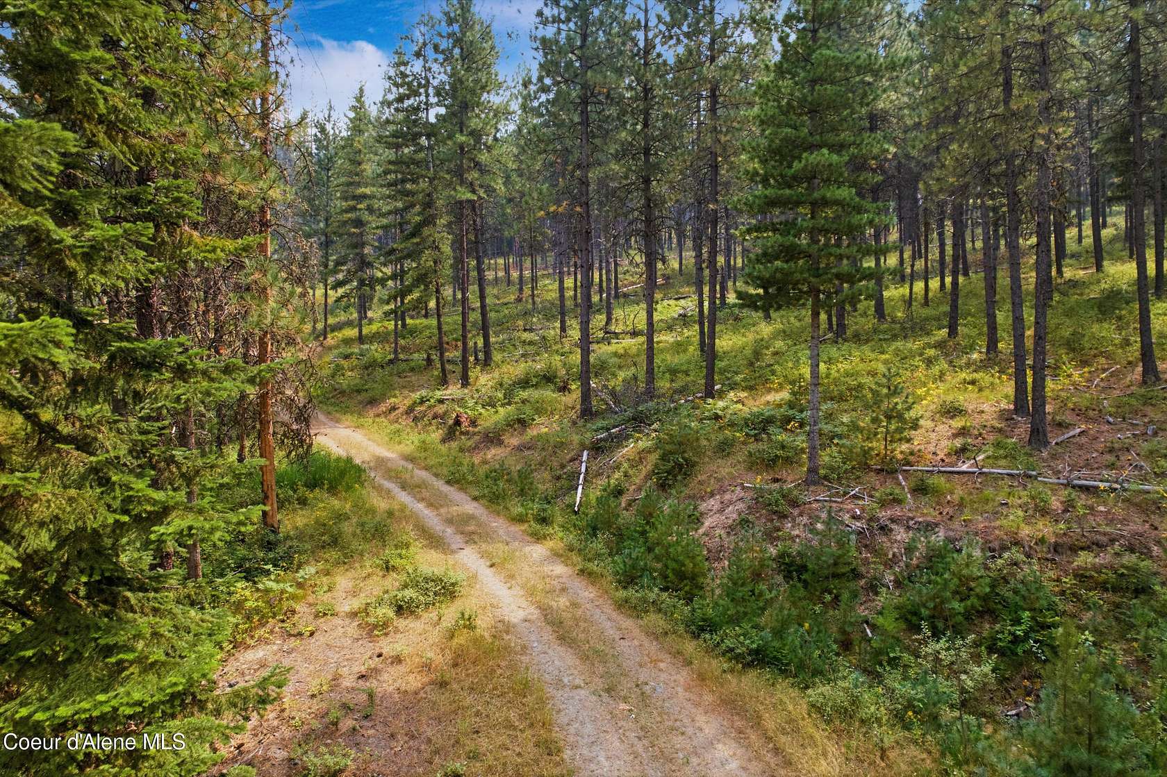5 Acres of Residential Land for Sale in Pinehurst, Idaho