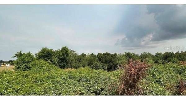 5 Acres of Residential Land for Sale in Wimauma, Florida