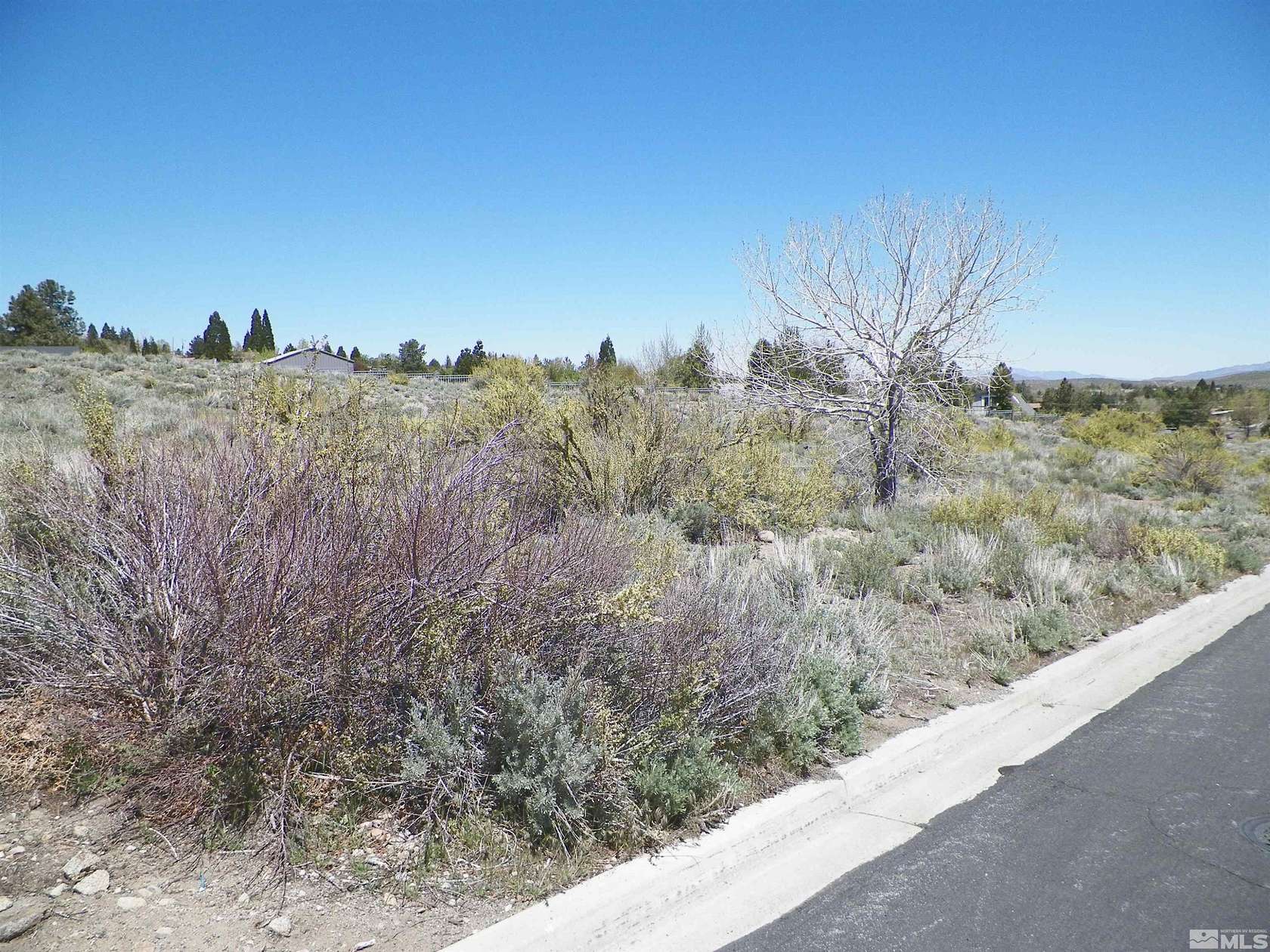 0.55 Acres of Residential Land for Sale in Reno, Nevada