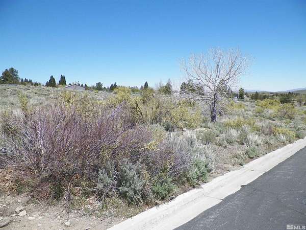0.55 Acres of Residential Land for Sale in Reno, Nevada