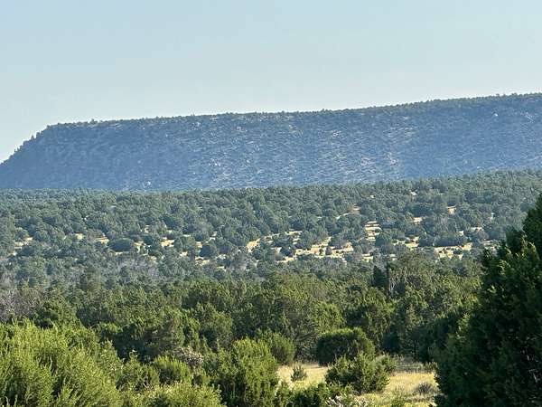 706 Acres of Land for Sale in Bernal, New Mexico
