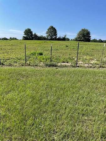 29 Acres of Land for Sale in Glenwood, Alabama