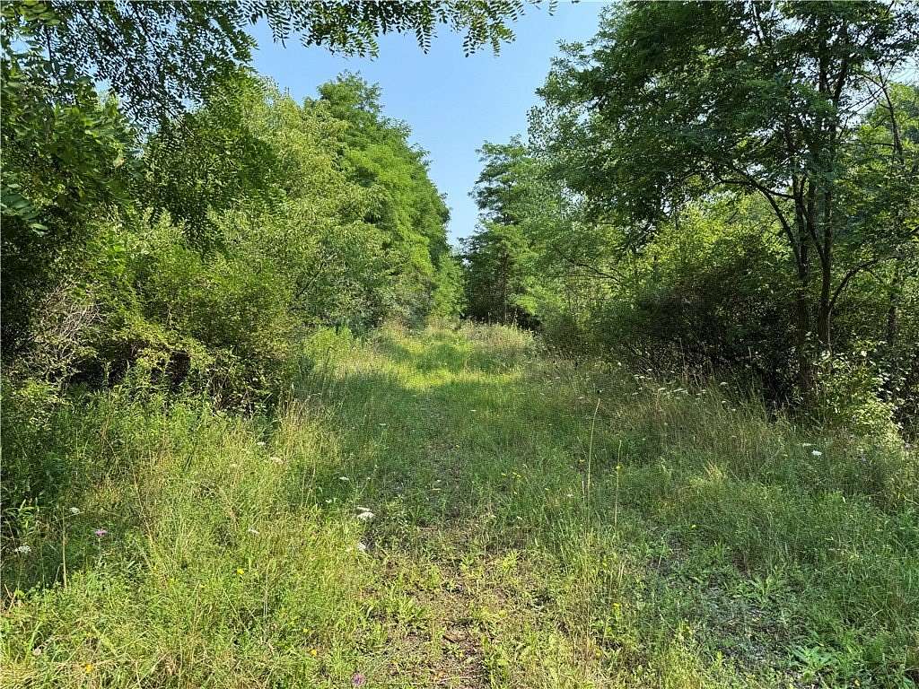 29.5 Acres of Recreational & Residential Land for Sale in Corning, New York