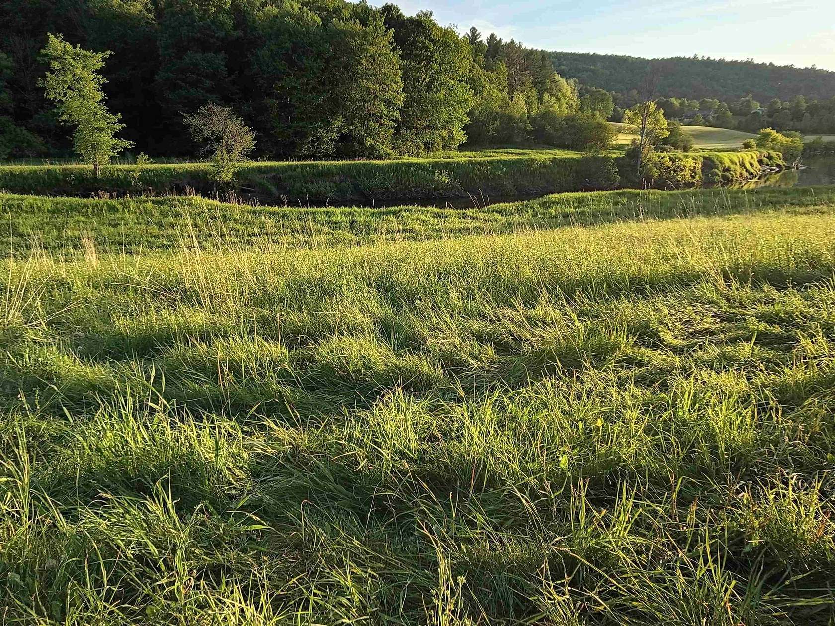 11.2 Acres of Agricultural Land for Sale in Wolcott, Vermont