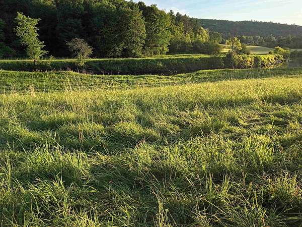 11.2 Acres of Agricultural Land for Sale in Wolcott, Vermont