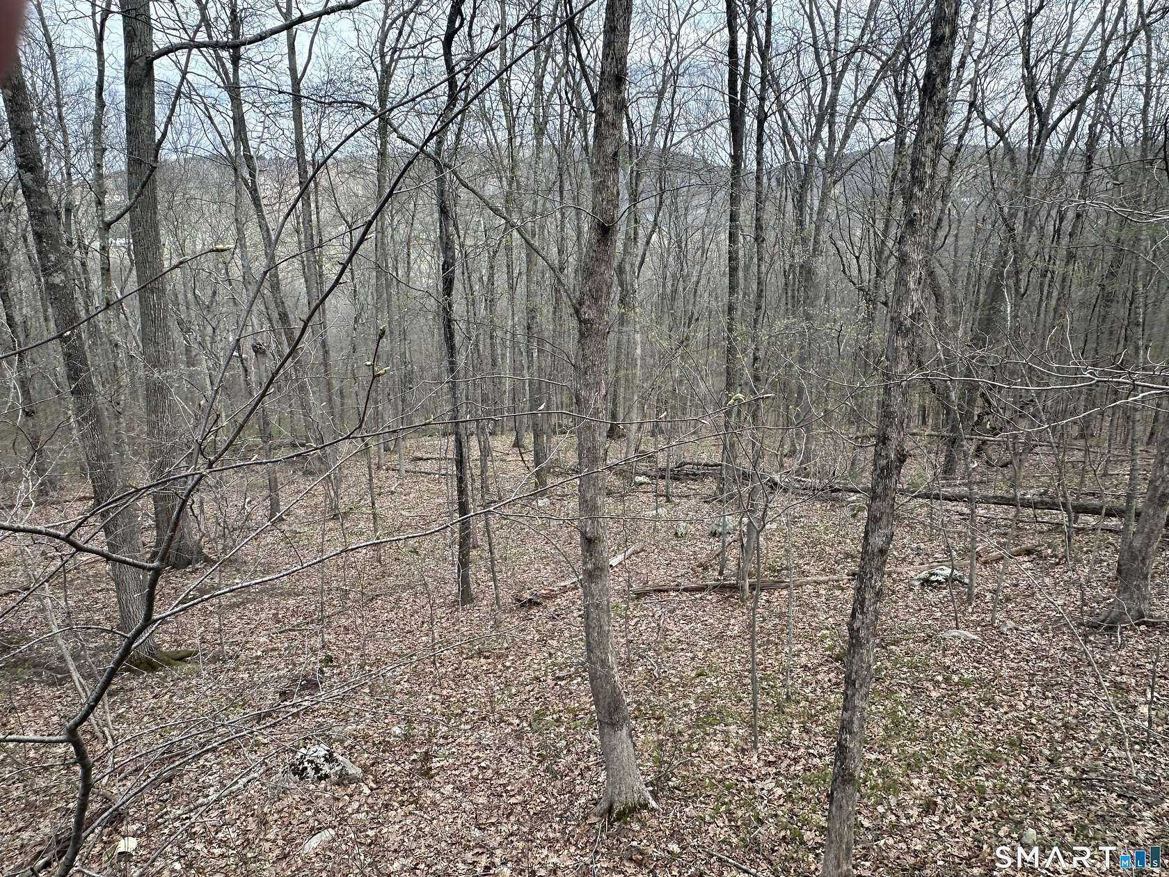6.25 Acres of Land for Sale in New Milford, Connecticut