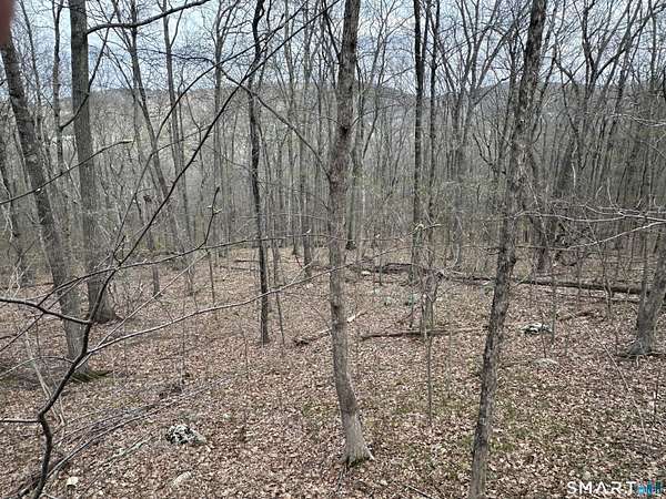 6.25 Acres of Land for Sale in New Milford, Connecticut