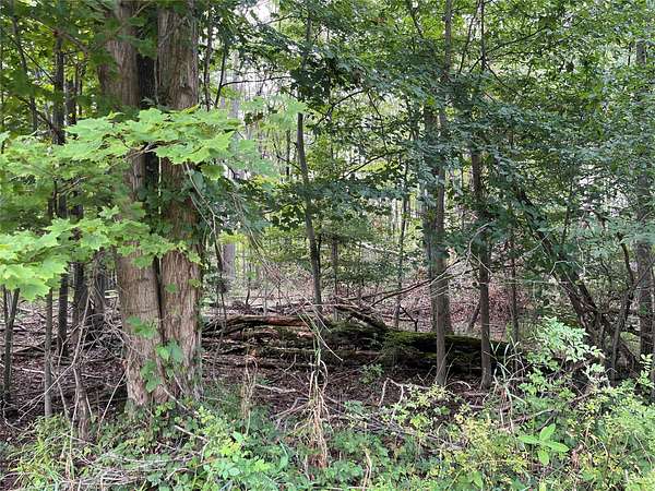 10 Acres of Recreational Land for Sale in Conneautville, Pennsylvania