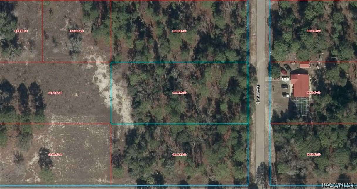 1 Acre of Residential Land for Sale in Dunnellon, Florida