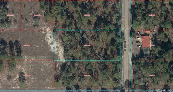 1 Acre of Residential Land for Sale in Dunnellon, Florida