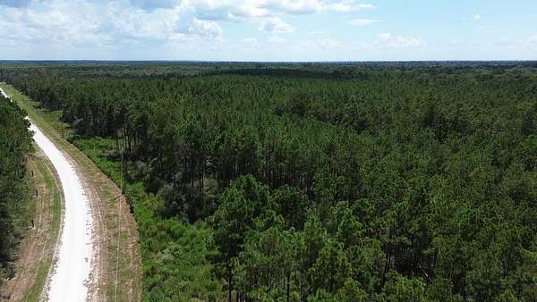 22.7 Acres of Recreational & Residential Land for Sale in Lovelady, Texas