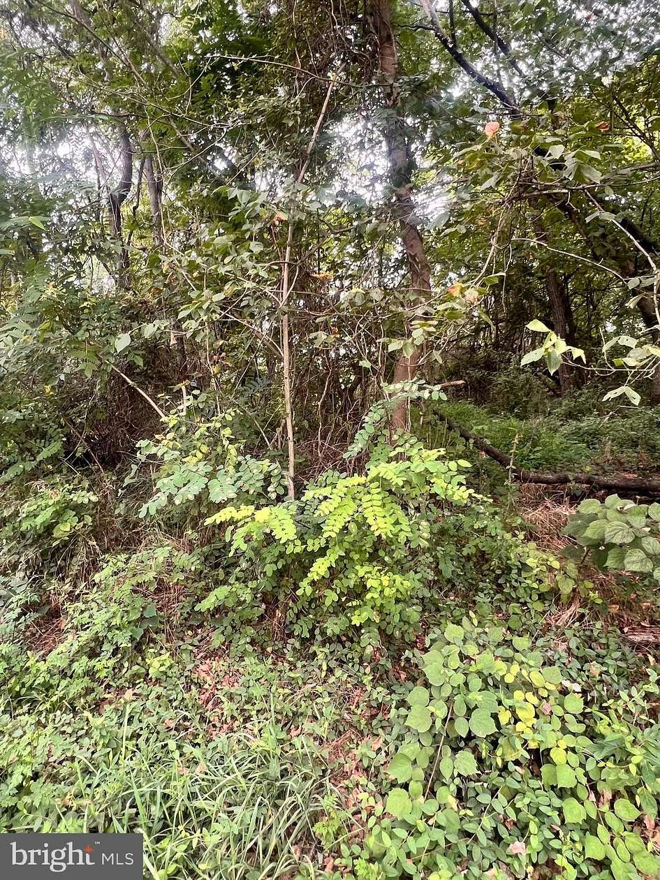 0.5 Acres of Land for Sale in Martinsburg, West Virginia