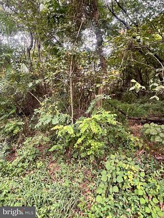 0.5 Acres of Land for Sale in Martinsburg, West Virginia