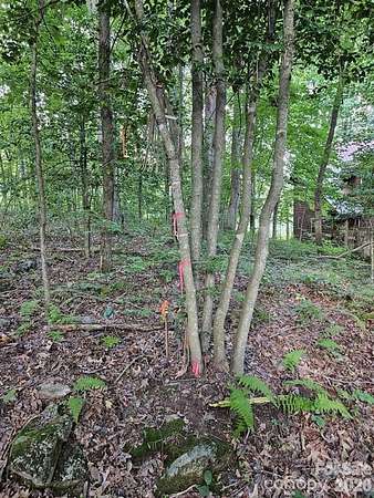 0.41 Acres of Residential Land for Sale in Maggie Valley, North Carolina