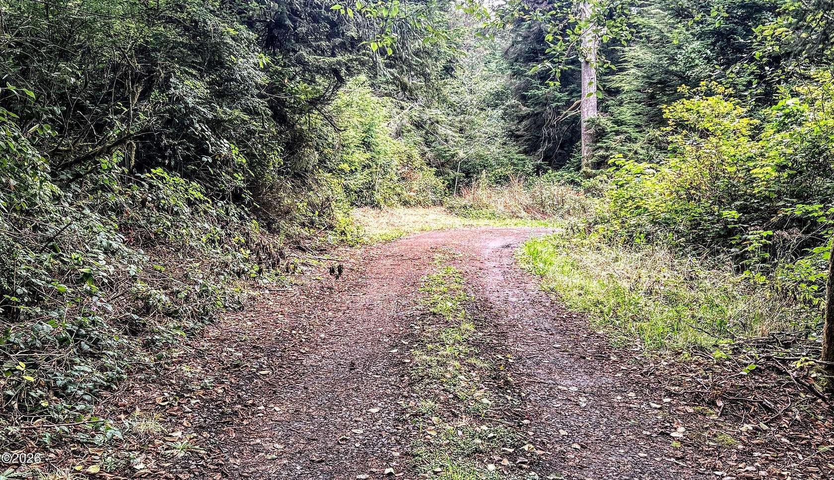 2.1 Acres of Residential Land for Sale in Seal Rock, Oregon