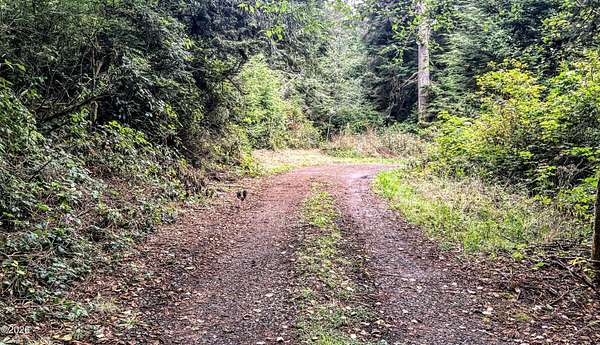 2.1 Acres of Residential Land for Sale in Seal Rock, Oregon