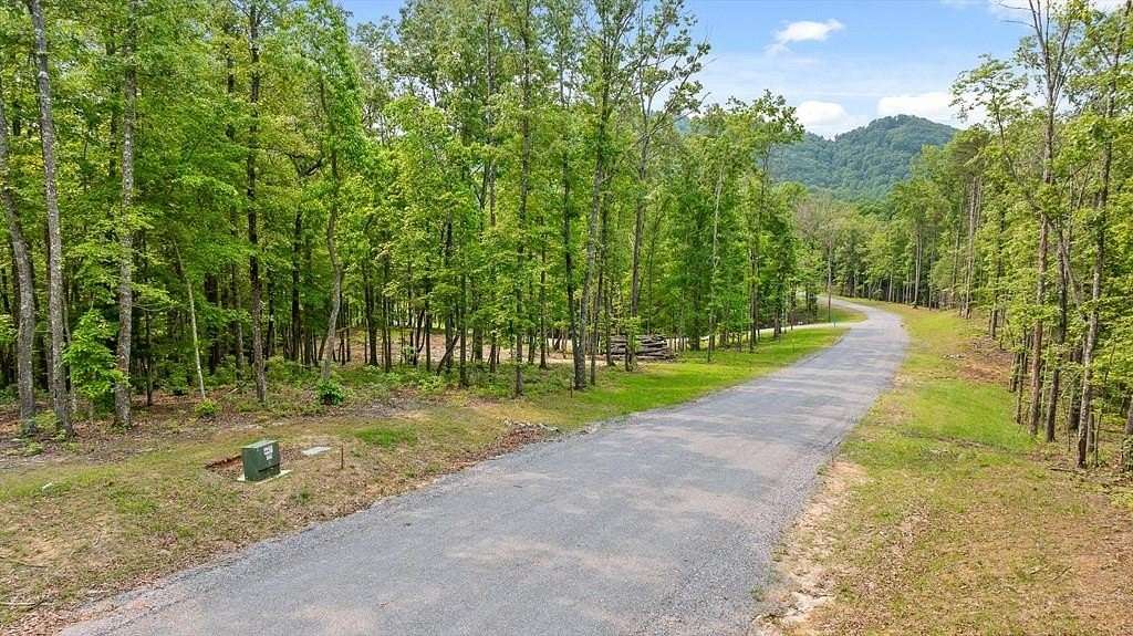 1 Acre of Residential Land for Sale in Mineral Bluff, Georgia