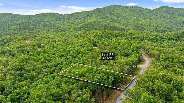 1 Acre of Residential Land for Sale in Mineral Bluff, Georgia