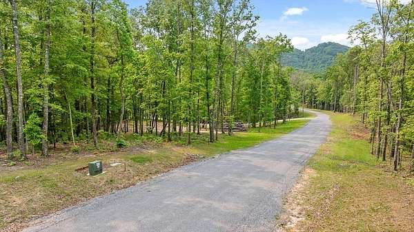 1 Acre of Residential Land for Sale in Mineral Bluff, Georgia
