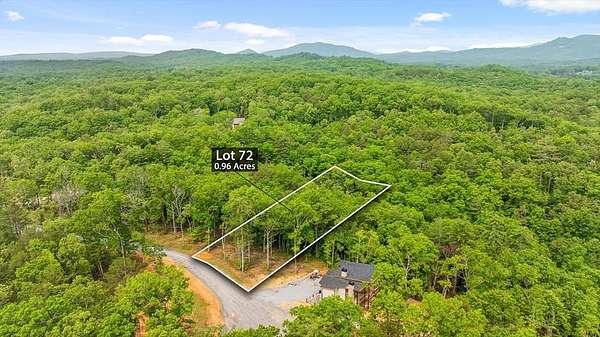 0.96 Acres of Residential Land for Sale in Mineral Bluff, Georgia