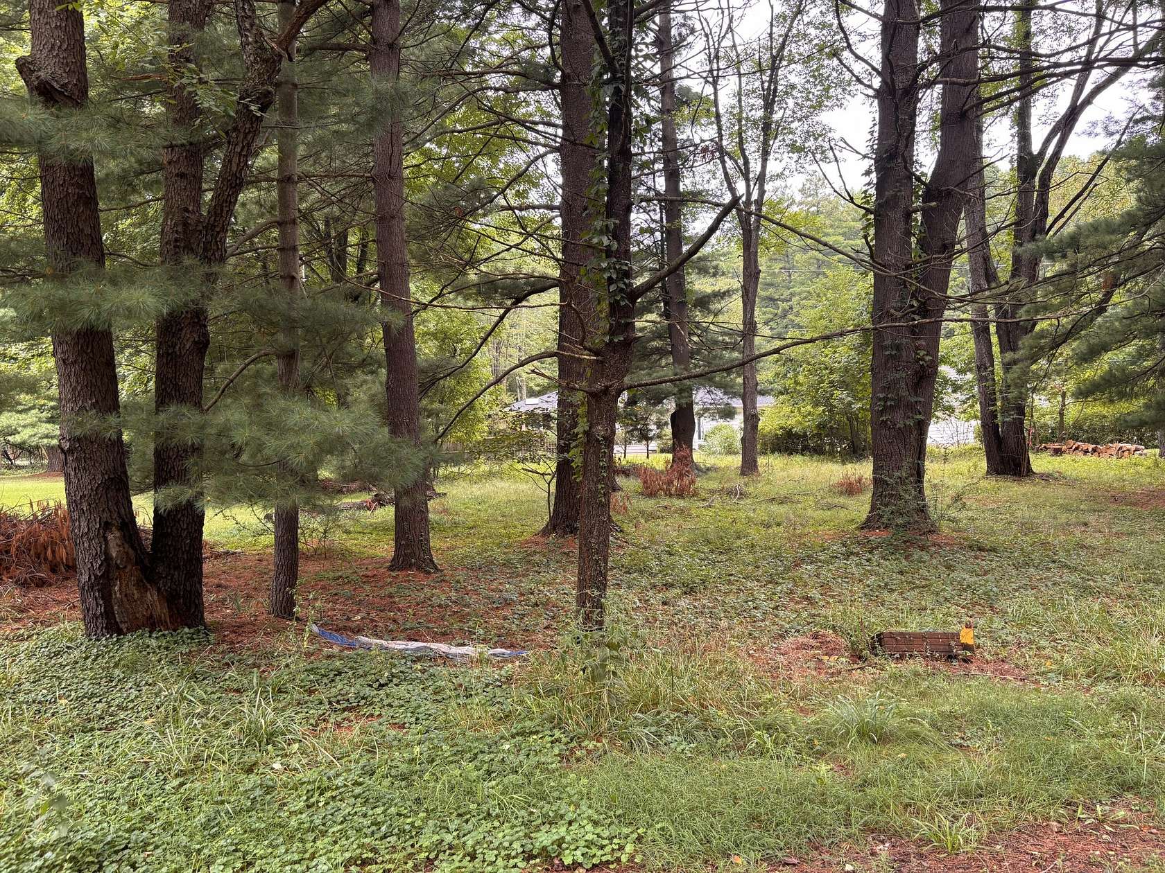 0.28 Acres of Land for Sale in Sawyer, Michigan