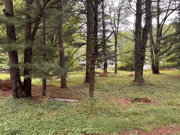 0.28 Acres of Land for Sale in Sawyer, Michigan