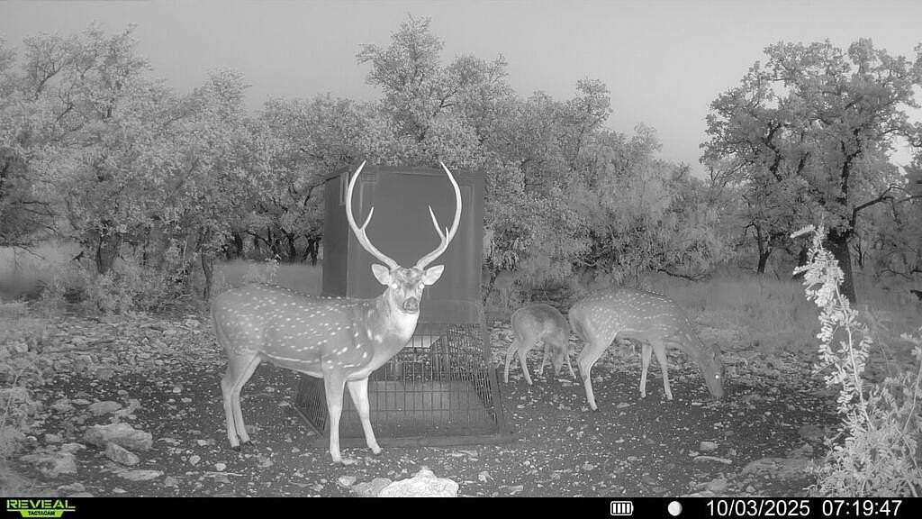 123 Acres of Improved Land for Sale in Menard, Texas