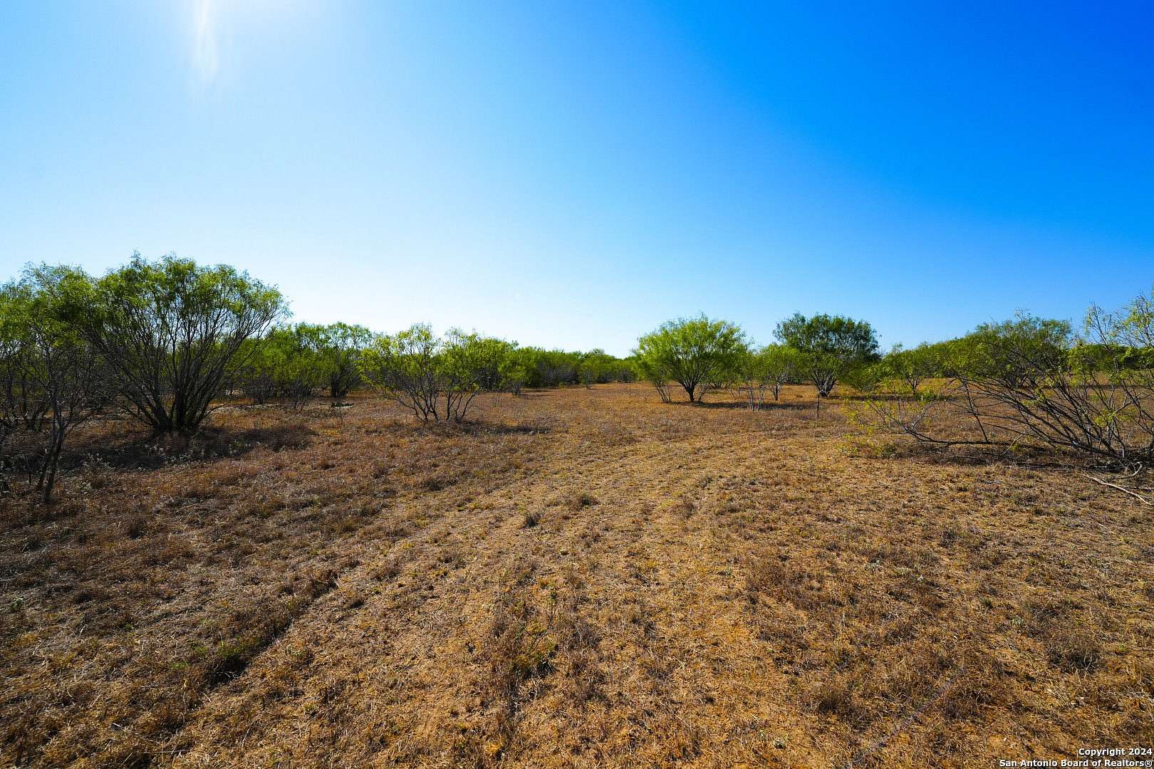 81.8 Acres of Land with Home for Sale in San Antonio, Texas