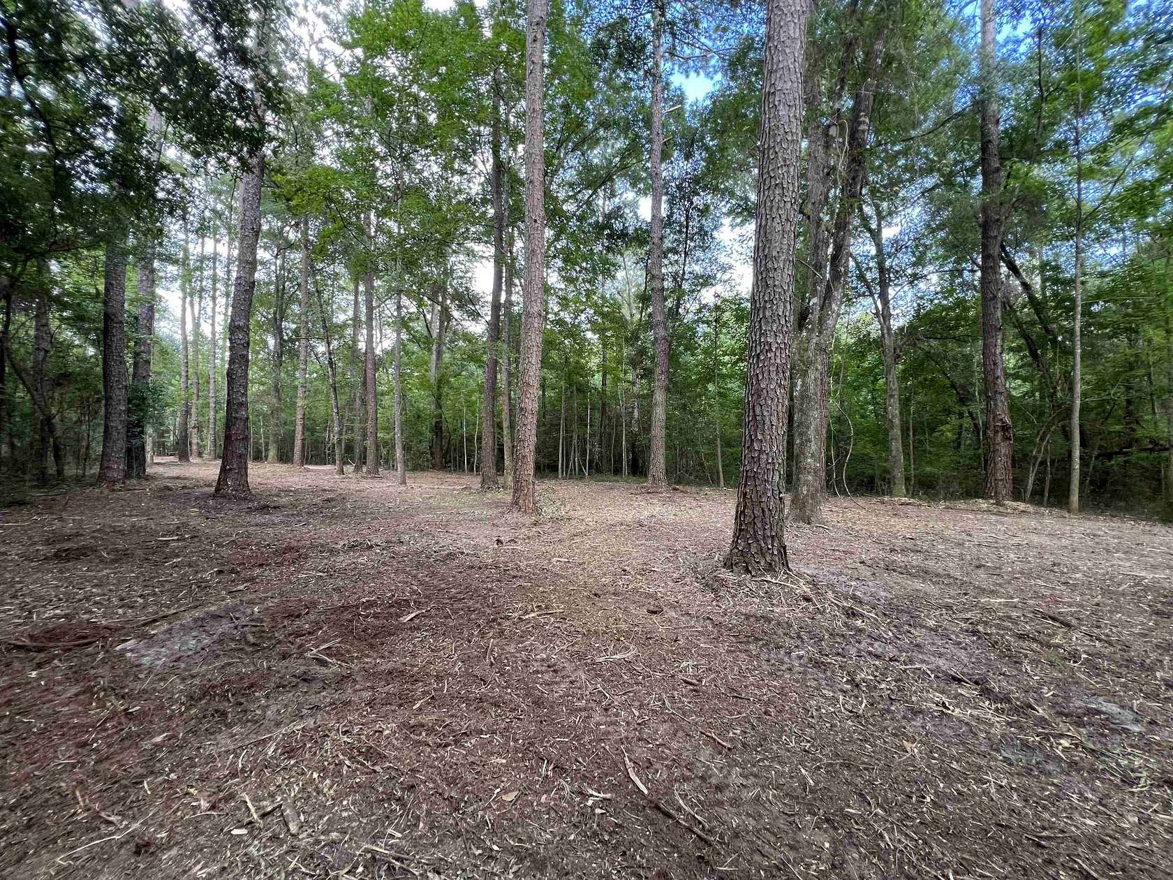 14.4 Acres of Recreational & Residential Land for Sale in Quincy, Florida