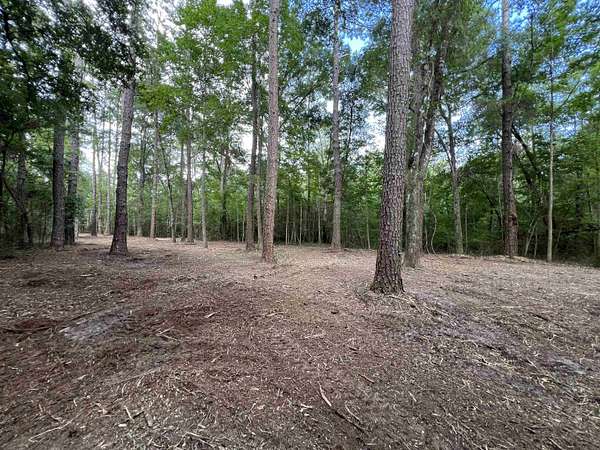 14.4 Acres of Recreational & Residential Land for Sale in Quincy, Florida
