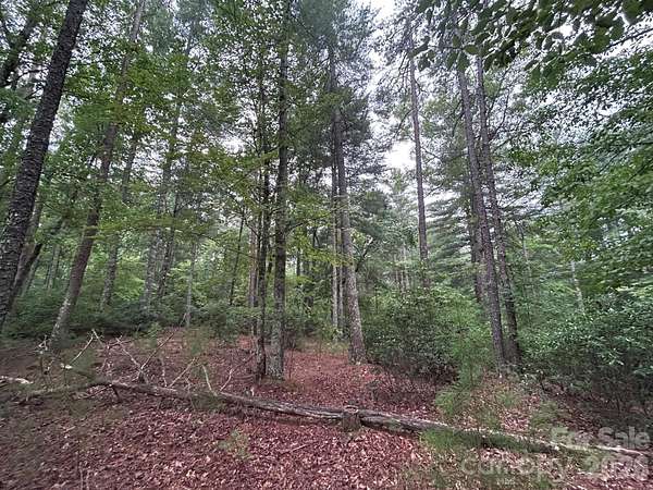 0.92 Acres of Residential Land for Sale in Nebo, North Carolina