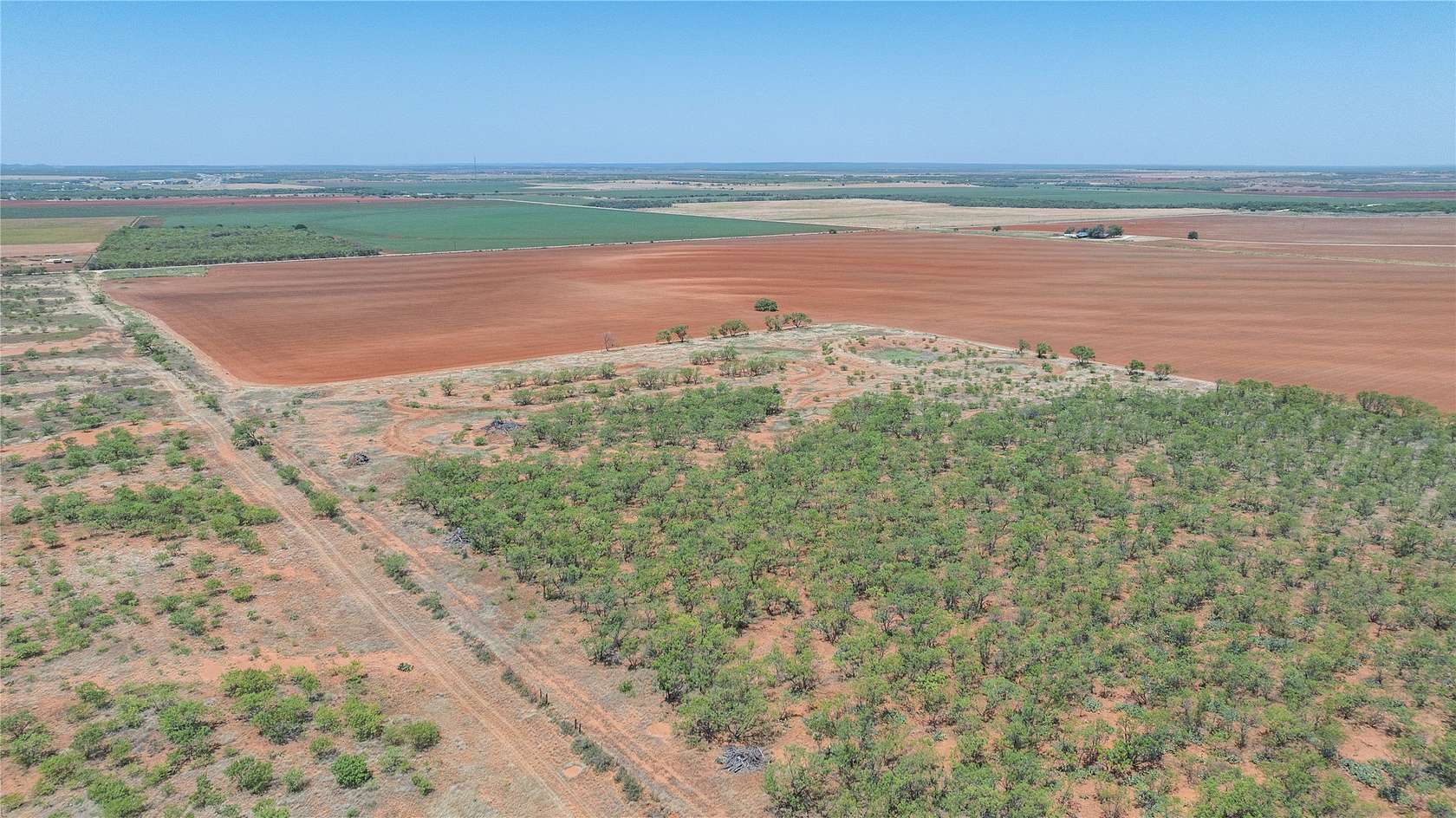 320 Acres of Land for Sale in Trent, Texas