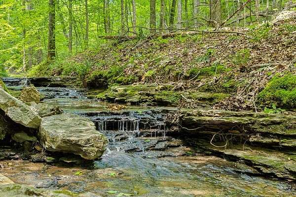 21.8 Acres of Recreational & Residential Land for Auction in Goodlettsville, Tennessee