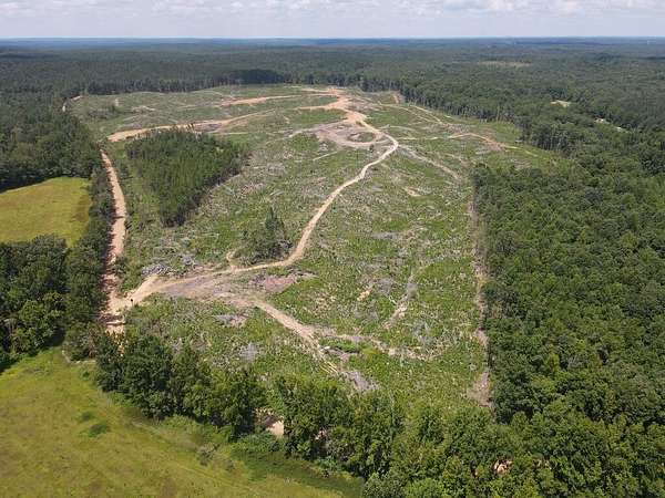 105 Acres of Recreational & Residential Land for Sale in Paris, Mississippi